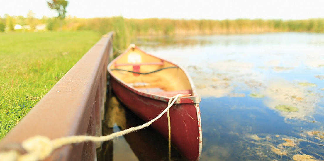 Gallery-Image